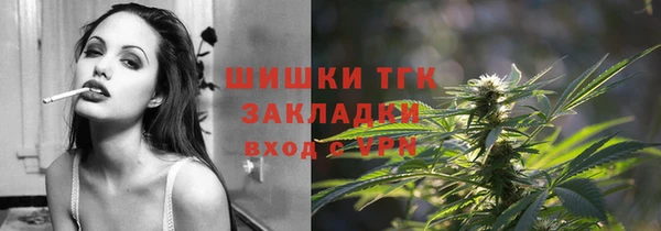 эйфоретик Алзамай