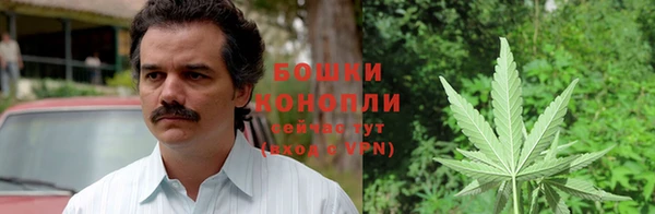шишки Алексин