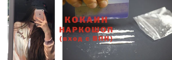 шишки Алексин