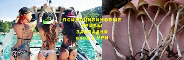 эйфоретик Алзамай