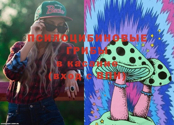 шишки Алексин