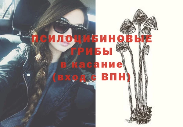 эйфоретик Алзамай