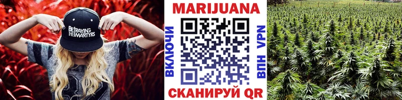 Шишки марихуана марихуана Пошехонье